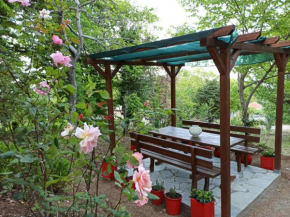Margarita's House